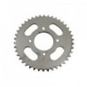 SPROCK EN/GN 125 42T